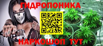 тгк Можга
