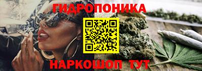 прущие грибы Малоярославец
