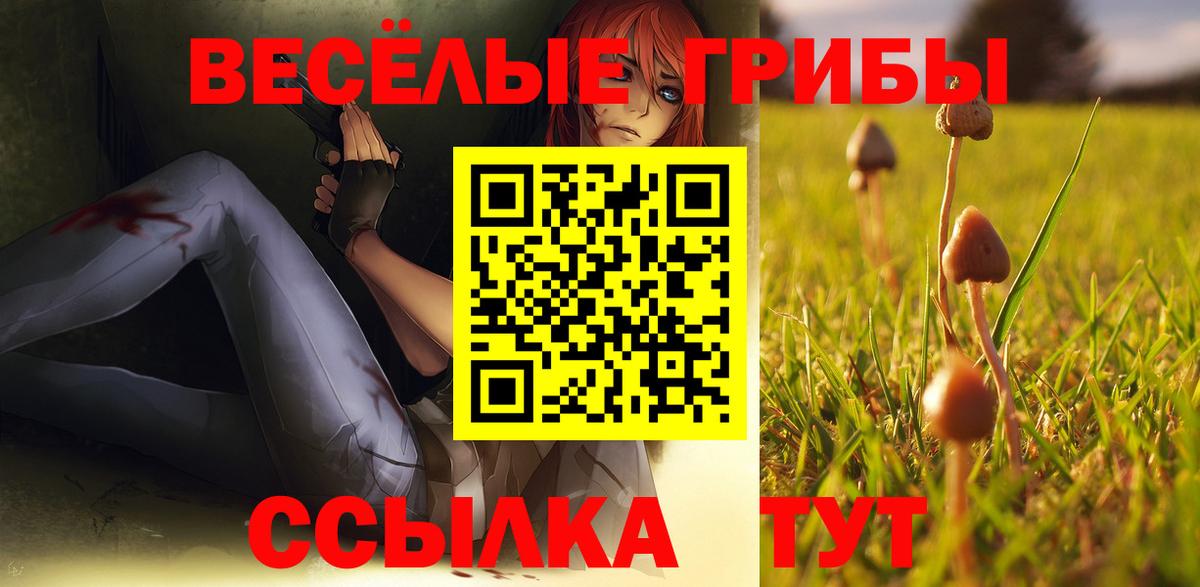 Славянск-на-Кубани  Галлюциногенные грибы прущие грибы  Вход с VPN 